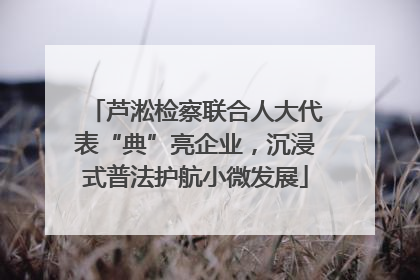 芦淞检察联合人大代表“典”亮企业，沉浸式普法护航小微发展